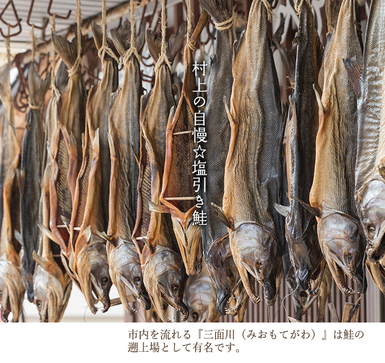 新潟県村上市瀬波温泉 瀬波ビューホテル 公式hp 最安値 特典 新潟県村上市瀬波温泉 瀬波ビューホテル 公式hp 最安値 特典