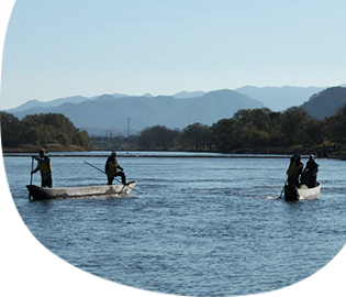 三面川の「いぐり網漁」